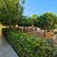 3 bedroom detached house for sale geroskipou paphos 8598194 thumbnail 17851048