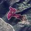 land for sale agios theodoros larnacas larnaca 8275194 thumbnail 15740699