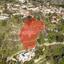 land for sale kallepeia paphos 823194 thumbnail 16009606