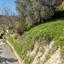 land for sale kallepeia paphos 823194 thumbnail 16009608