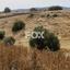 land for sale parekklisia limassol 1185194 thumbnail 9337275