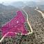 20068 SQM Plot for sale in Psematismenos, Larnaca thumbnail 15007492