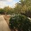 5 bedroom detached house for sale pyrgos limassol limassol 8967294 thumbnail 17869347