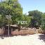 3 bedroom detached house for sale latsi paphos 1159394 thumbnail 5522712