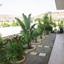 6 bedroom detached house for sale alethriko larnaca 7906394 thumbnail 16325881