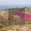 land for sale kato pyrgos nicosia 8275394 thumbnail 15159516