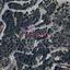 plot for sale moniatis limassol 1501394 thumbnail 5823073
