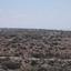 land for sale avdimou limassol 7739494 thumbnail 17552656