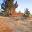 plot for sale shia nicosia 1151594 thumbnail 12672012