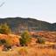 plot for sale shia nicosia 1151594 thumbnail 12672014