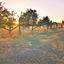 plot for sale shia nicosia 1151594 thumbnail 12672019