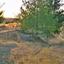 plot for sale shia nicosia 1151594 thumbnail 12672020