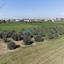 land for sale ergates nicosia 1938694 thumbnail 7669123