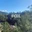 land for sale moniatis limassol 1270694 thumbnail 17306050