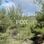 land for sale moniatis limassol 1270694 thumbnail 17306051