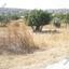 land for sale skarinou larnaca 7870694 thumbnail 11378968