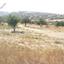land for sale skarinou larnaca 7870694 thumbnail 11378969