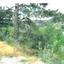 land for sale tsakistra nicosia 829694 thumbnail 6572144
