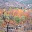 land for sale tsakistra nicosia 829694 thumbnail 6572146