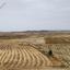land for sale tseri nicosia 8726694 thumbnail 16333395