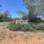 plot for sale paramali limassol 1146694 thumbnail 5501032