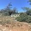 plot for sale paramali limassol 1146694 thumbnail 5501036