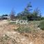 plot for sale paramali limassol 1146694 thumbnail 5501039