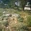 plot for sale paramali limassol 1146694 thumbnail 5501045