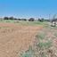 land for sale agioi trimithias nicosia 1152794 thumbnail 5161744