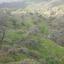 land for sale pentalia paphos 945794 thumbnail 15867202