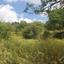 2054 SQM Land for sale in Drimou, Paphos thumbnail 16009201