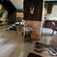 2 bedroom detached house for rent agios tychonas limassol 1146894 thumbnail 14867997