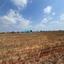 land for sale frenaros famagusta 8018894 thumbnail 16015960