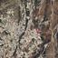 land for sale peyia paphos 8395894 thumbnail 16001681