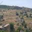 8696 SQM Land for sale in Drousia, Paphos thumbnail 15596466