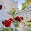 3 bedroom detached house for sale tsada paphos 1354994 thumbnail 15784345
