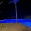 5 bedroom bungalow for sale lofos tala paphos 7739994 thumbnail 12581788