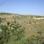 land for sale drousia paphos 7740994 thumbnail 17601105
