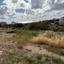 land for sale konia paphos 8468994 thumbnail 16069368