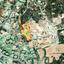 plot for sale agios tychonas limassol 7543994 thumbnail 10294416