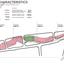 plot for sale germasogeia limassol 1519994 thumbnail 12664256