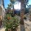 1 bedroom apartment for sale tersefanou larnaca 7789005 thumbnail 10437412