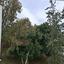 2 bedroom apartment for rent sotiros agios ioannis larnaca larnaca 8215005 thumbnail 13726423
