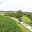 land for sale choirokoitia larnaca 946005 thumbnail 15602911