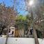 5 bedroom detached house for sale agios nicolaos limassol 7533105 thumbnail 12726397
