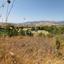 land for sale agios dimitrianos paphos 7813105 thumbnail 12703069
