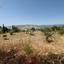 land for sale agios dimitrianos paphos 7813105 thumbnail 12703089