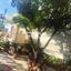 2 bedroom detached house for rent limassol municipality limassol 8602205 thumbnail 15756010