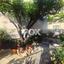 2 bedroom detached house for rent limassol municipality limassol 8602205 thumbnail 15756018