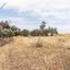land for sale astromeritis nicosia 8645205 thumbnail 15931492